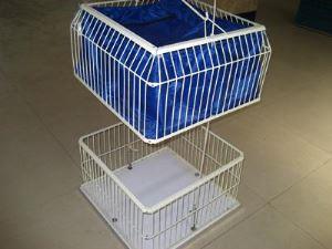 更衣小黄鸭黄色饮件